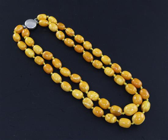A double strand oval amber bead necklace, 46cm.
